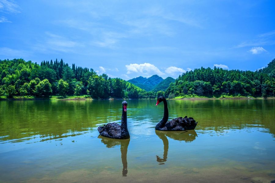 千岛湖路亚钓场，垂钓爱好者的梦幻乐园