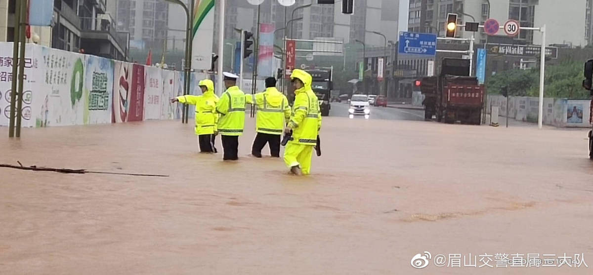 眉山东坡区车祸事件深度剖析